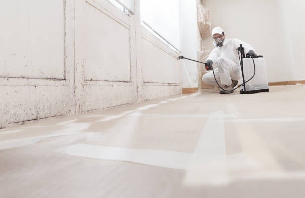 24/7 Emergency Attic Mold Remediation experts in Norcross, GA