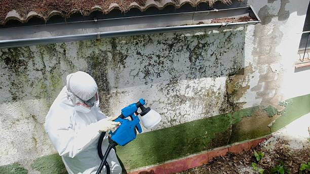 Top rated local Attic Mold Remediation specialists in Norcross, GA
